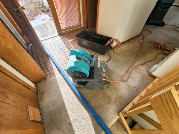 Best Water damage contractors near me  in Fredericksburg, TX
